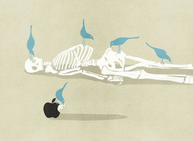 Skeleton, Birds and the Apple