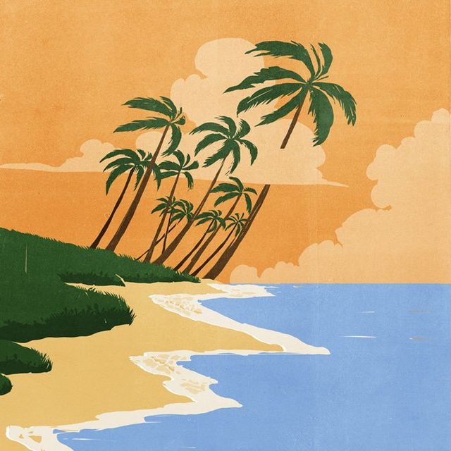 Palm Beach at Sunset
