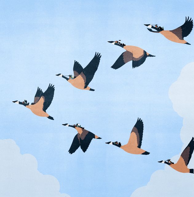 Geese in Formation
