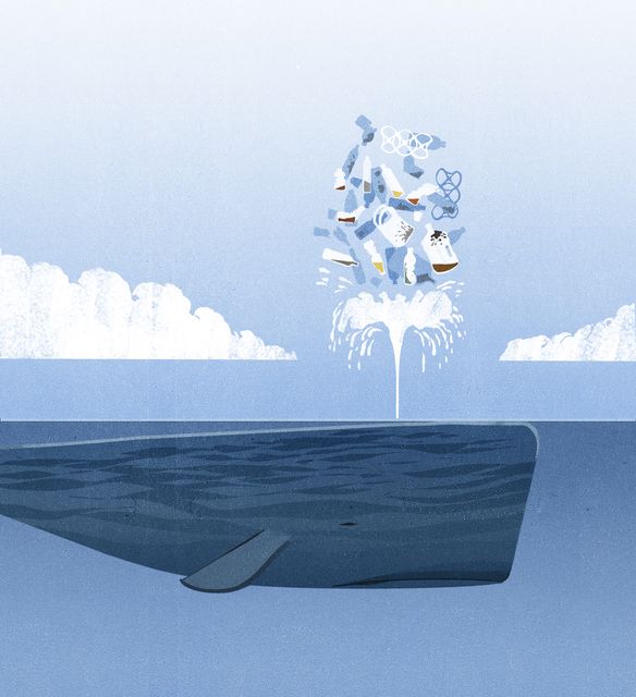 Whale Spouting Plastic