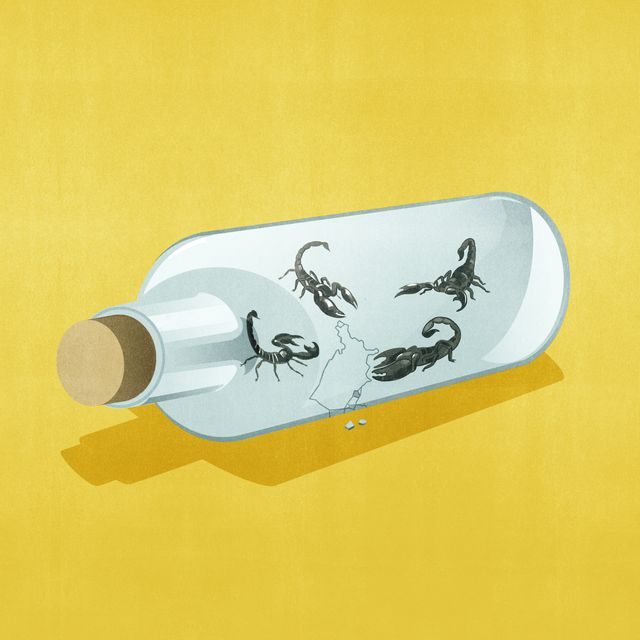 Scorpions in a Bottle