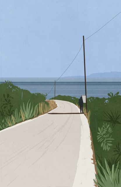 Road to the Sea