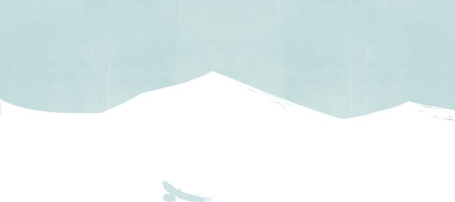 Bird over the Snowy Hills