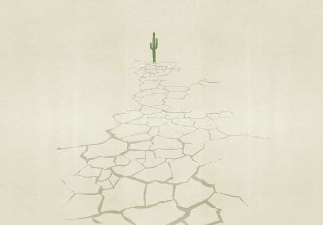 Cracked Path to a Cactus