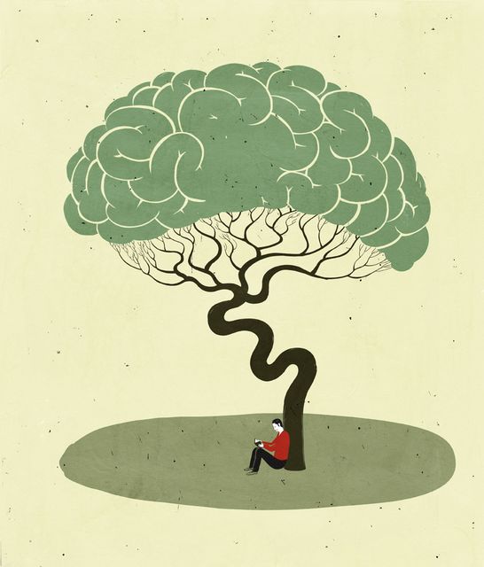 Brain Tree with a Reader