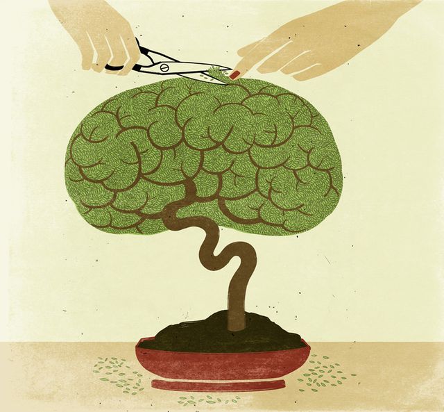Pruning the Brain Bonsai