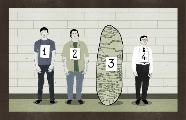 Police Line-up with a Stone