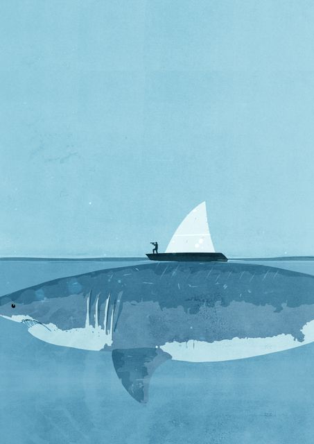Shark beneath the Boat